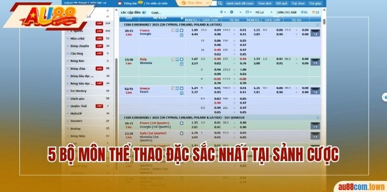 5 bộ môn thể thao đặc sắc nhất tại sảnh cược
